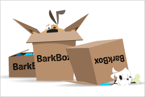 barkbox gift box